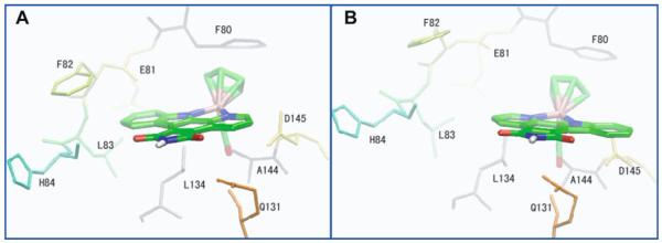 Fig. 12