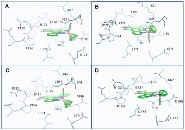 Fig. 10