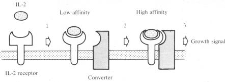 graphic file with name pnas00327-0217-a.jpg