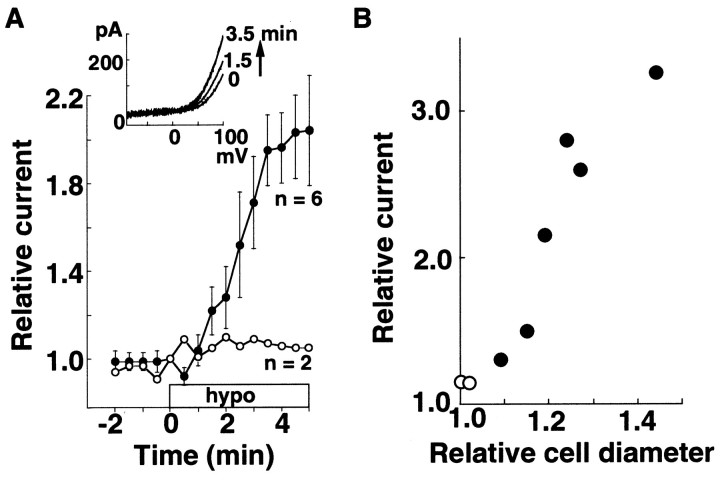 Fig. 10.