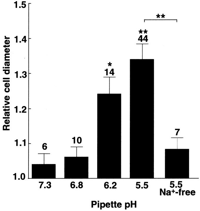 Fig. 6.