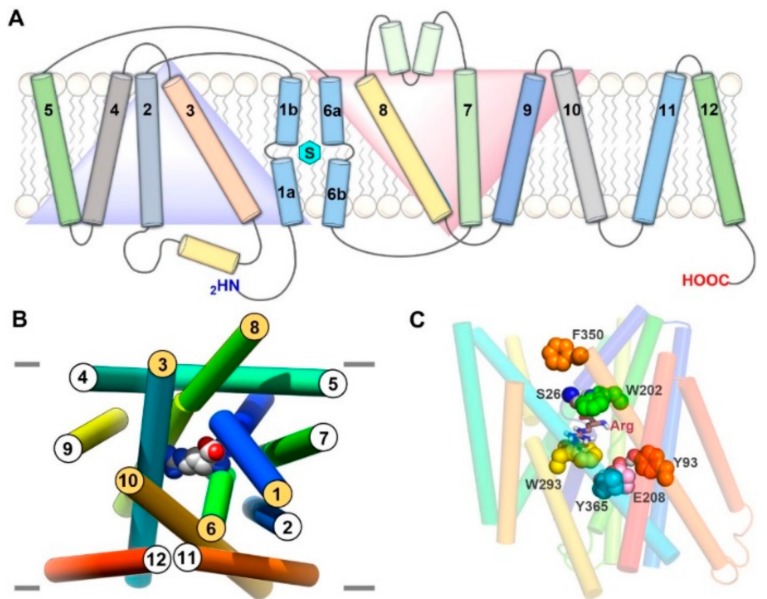 Figure 2