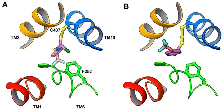 Figure 19