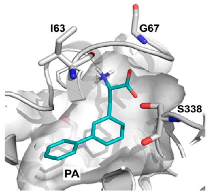 Figure 15