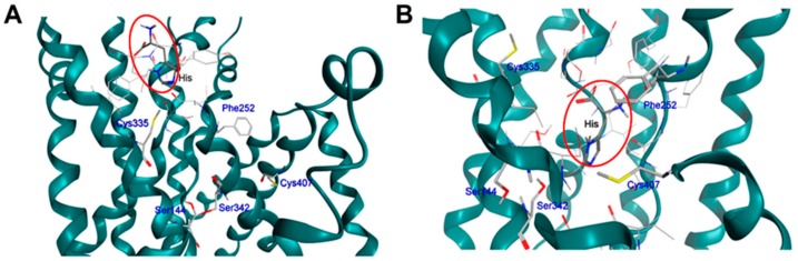 Figure 11