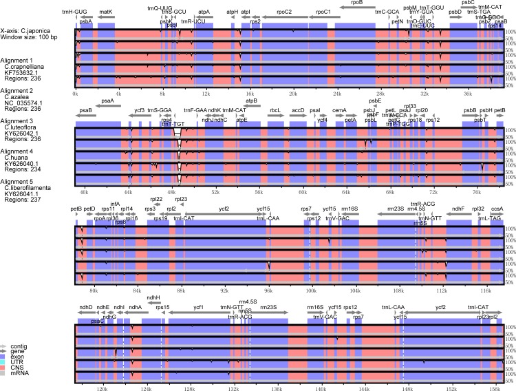 Fig 6