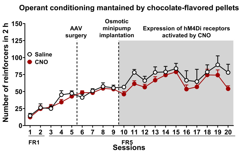 Figure 10.