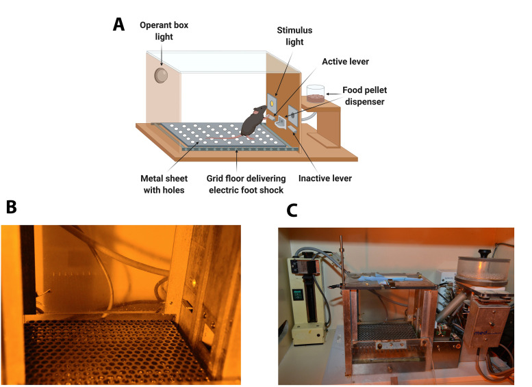 Figure 1.