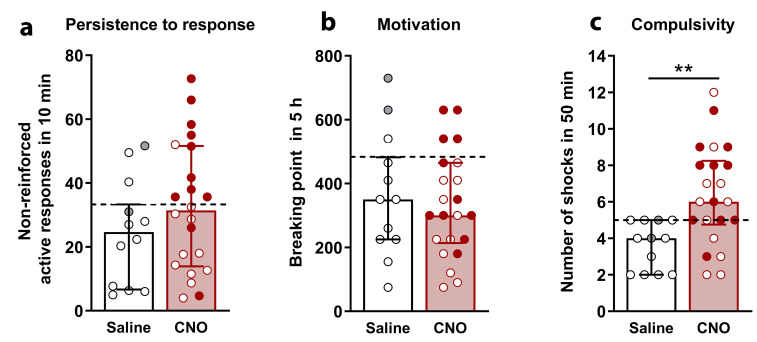 Figure 11.