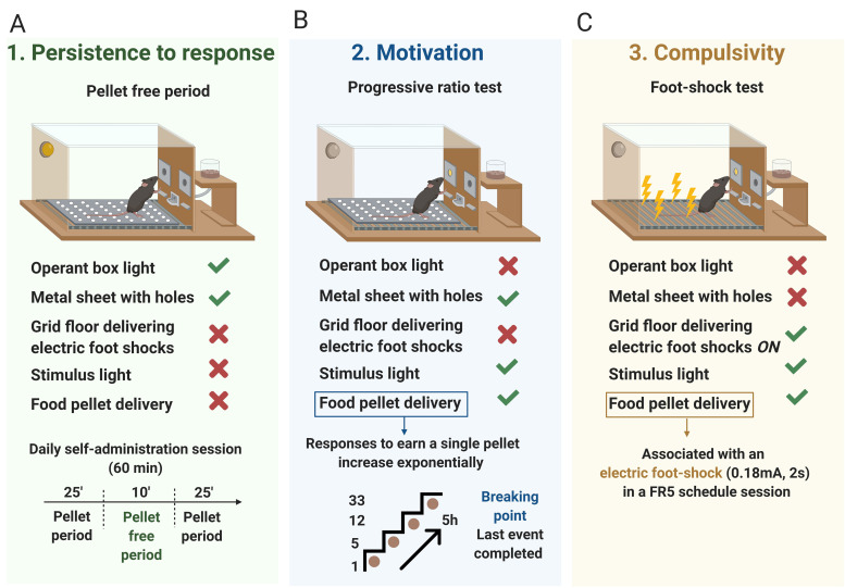 Figure 2.