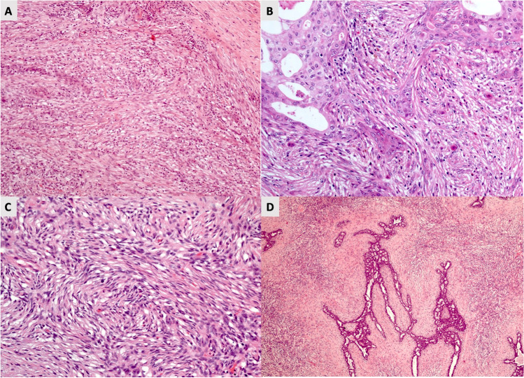 Fig. 8
