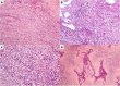Fig. 8