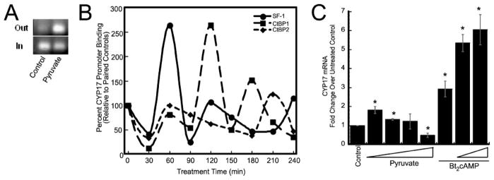 FIGURE 3