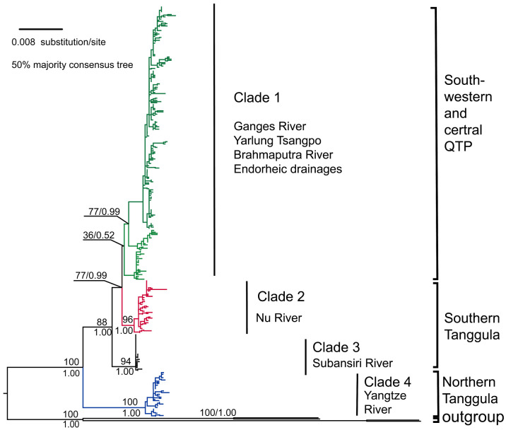 Fig. 2.