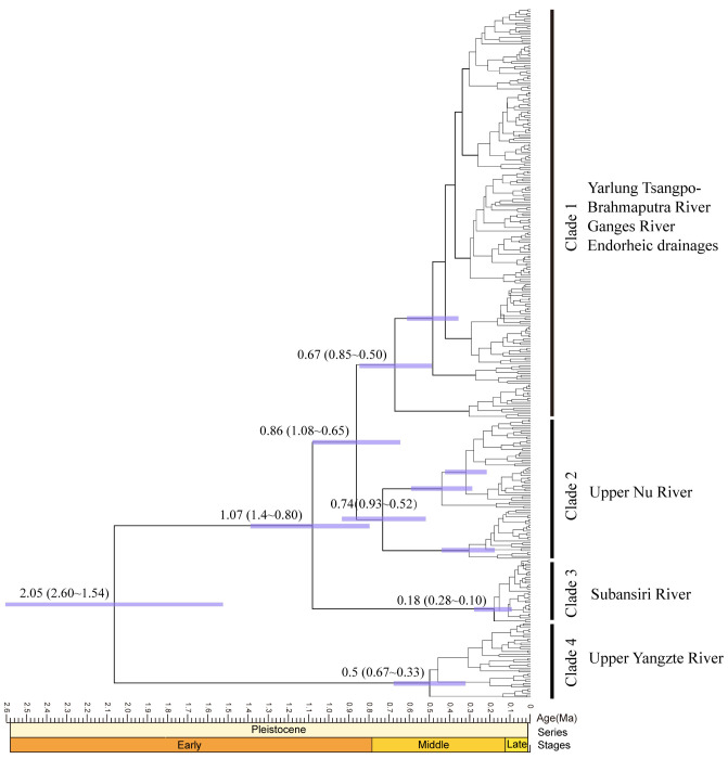 Fig. 3.