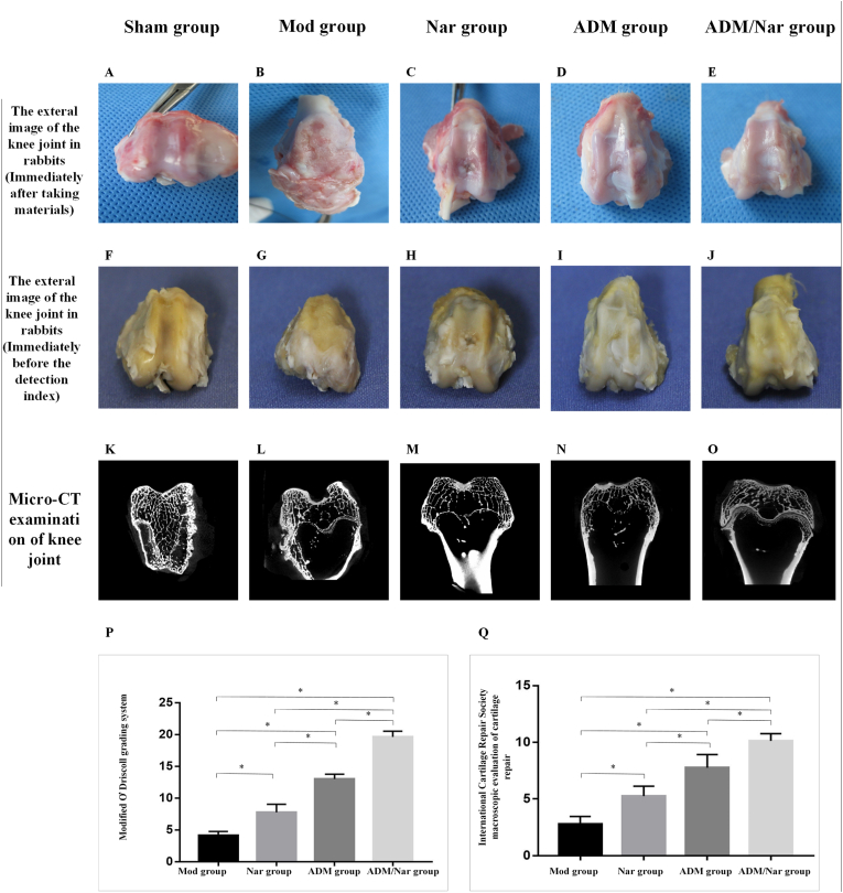 Fig. 4