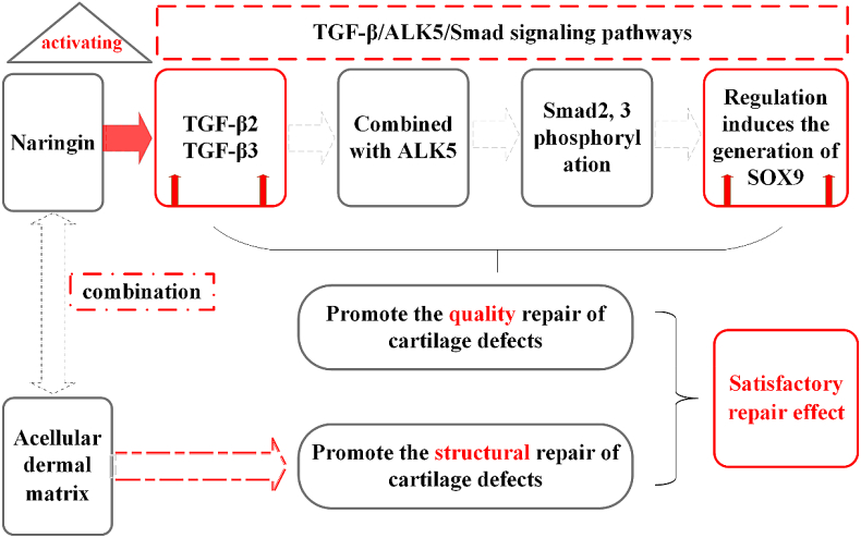 Fig. 7