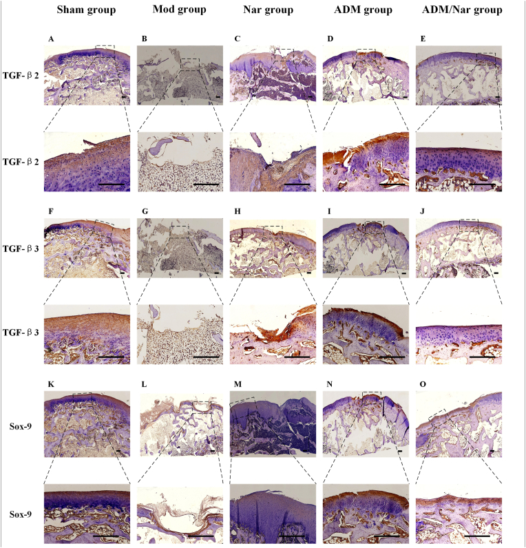 Fig. 6