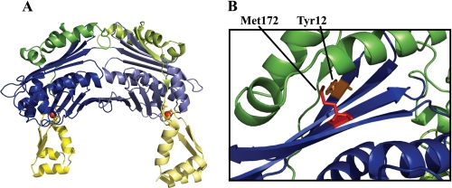 FIGURE 1.