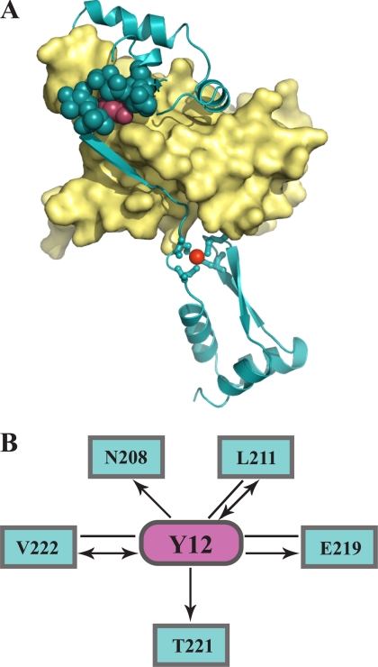 FIGURE 5.