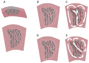 Figure 6: