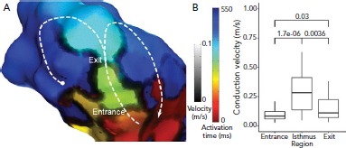 Figure 4: