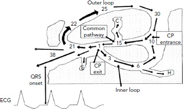 Figure 2: