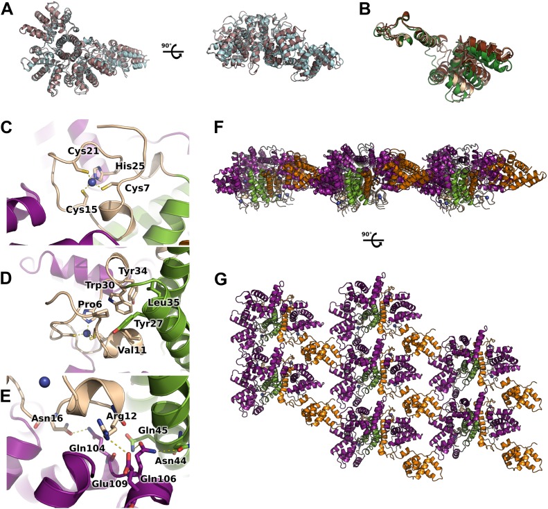 Figure 1—figure supplement 1.