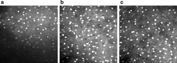 Fig. 5