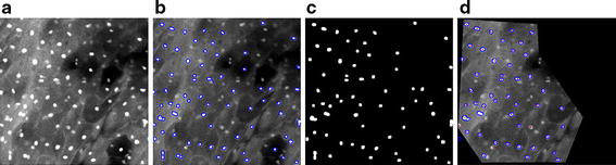 Fig. 2