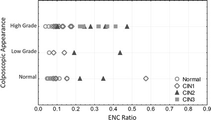 Fig. 10