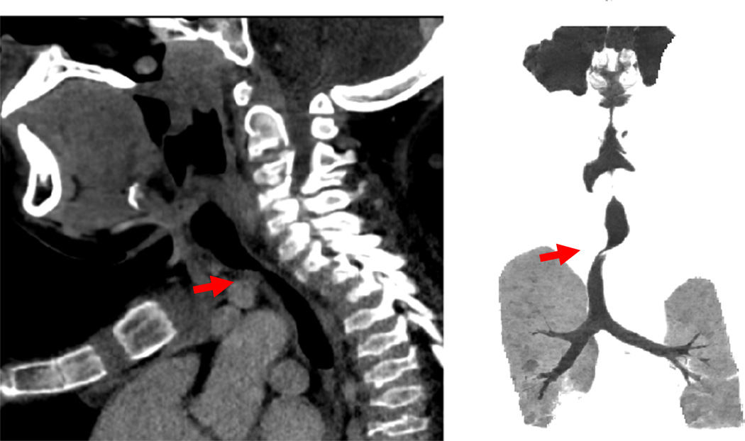 Fig. 9