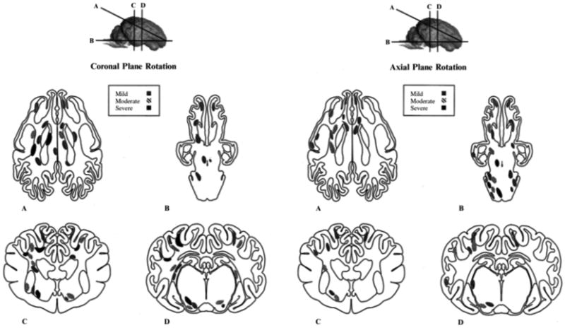 Fig 9