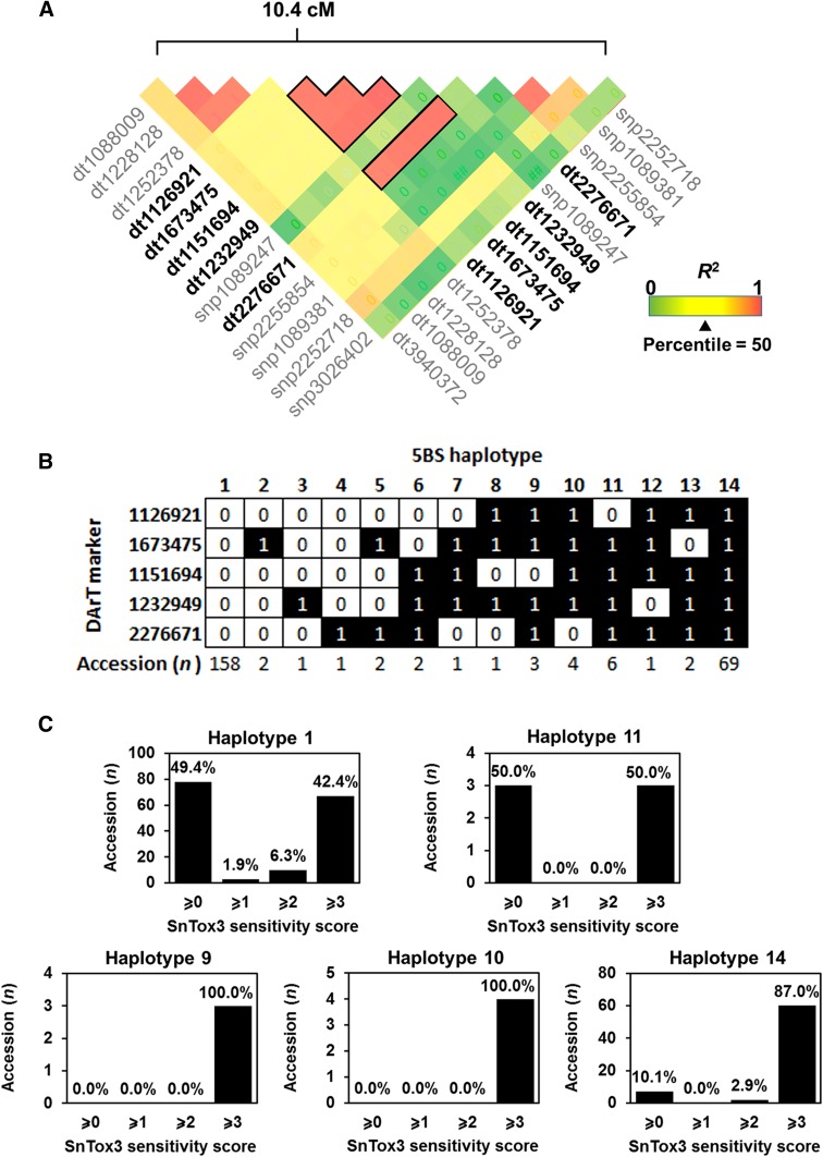 Fig. 4