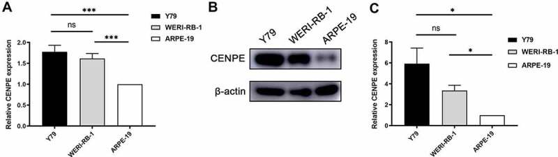 Figure 10.