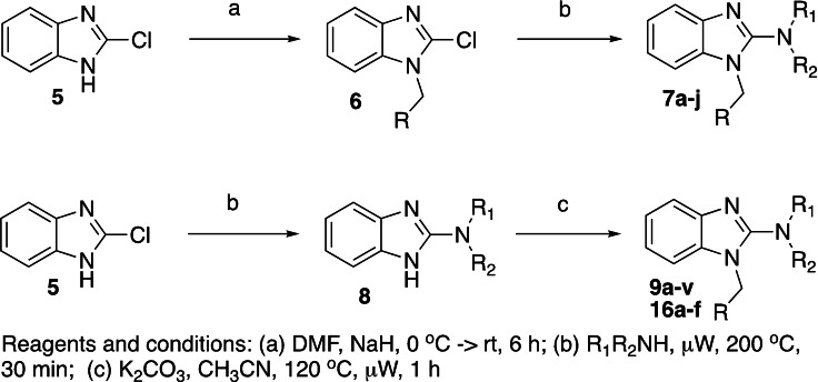 Scheme 1