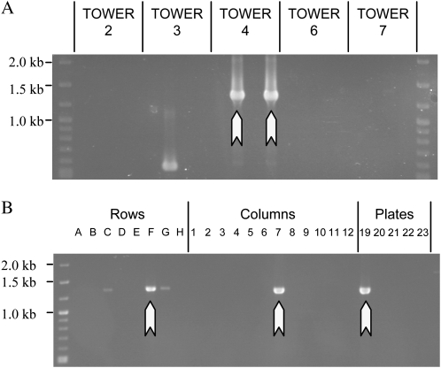 Figure 5.