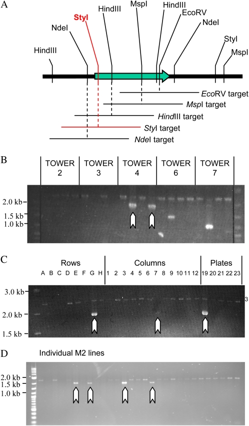 Figure 4.