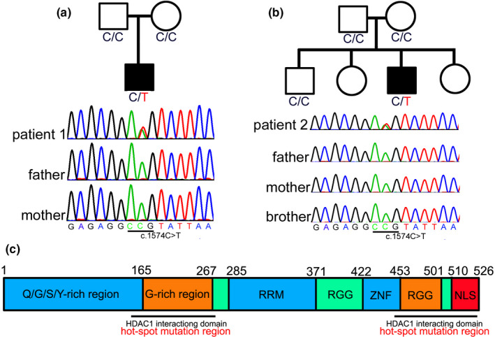 FIGURE 3