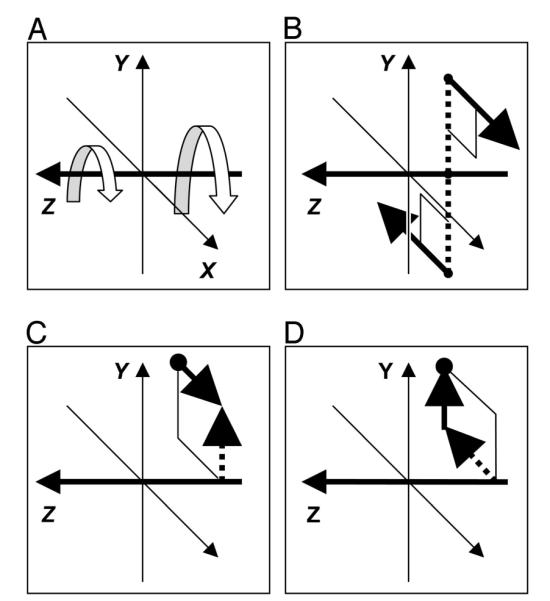 FIG. 3