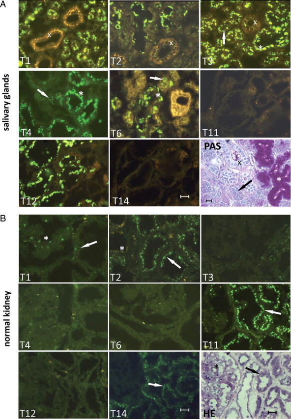 Fig. 4.