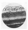 294-3