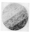 294-2