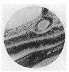 294-3