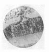 294-3