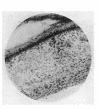 294-1