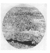 294-1