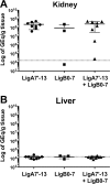Fig 5