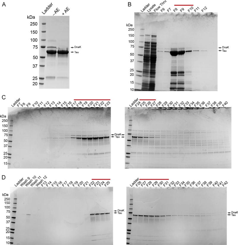 FIG. 1