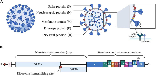 FIGURE 1